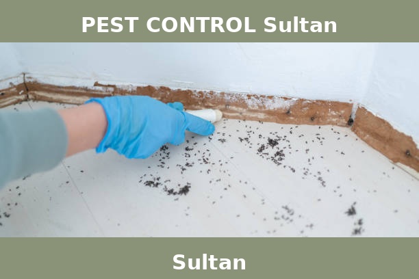 PEST CONTROL Sultan